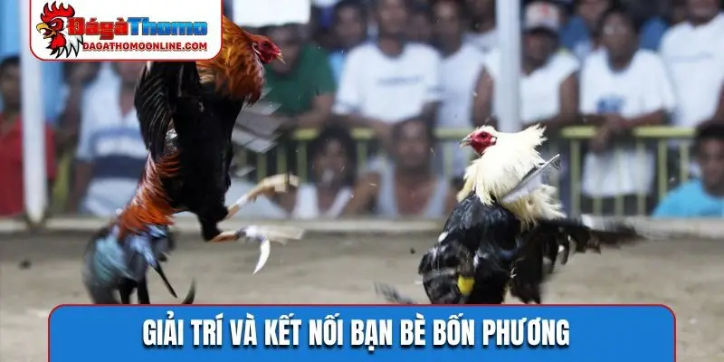 Giải trí và kết nối bạn bè bốn phương