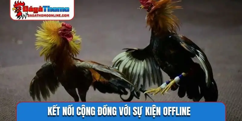 Kết nối cộng đồng với sự kiện offline